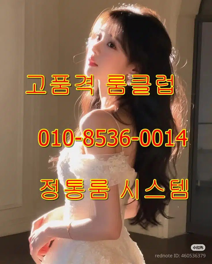 서울룸싸롱 가격
